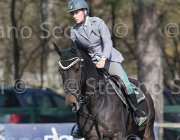 Capponi Royal Star TosTour 2013- S5 3442 : Arezzo Equestrian Centre, Capponi Francesca, Royal Star, Toscana Tour 2013, foto di Stefano Secchi ©